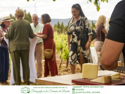 Festival Mar de Tethys 2026 - Bodega Vetas